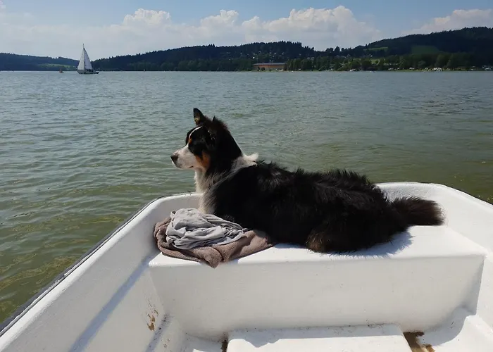 Apartament Club Rezidence Pod Luci Loučovice