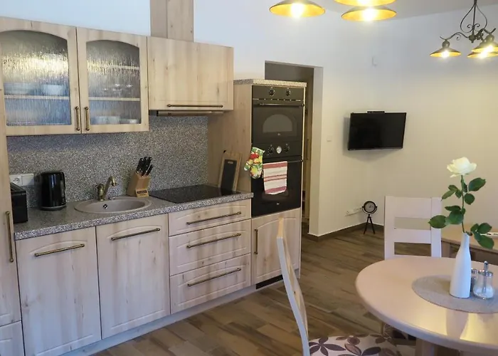 Club Rezidence Pod Luci Apartament Loučovice