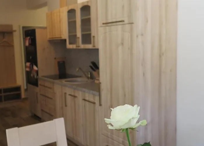 Club Rezidence Pod Luci Apartament *