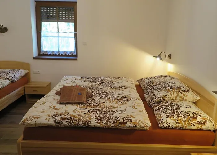 Apartament Club Rezidence Pod Luci Loučovice