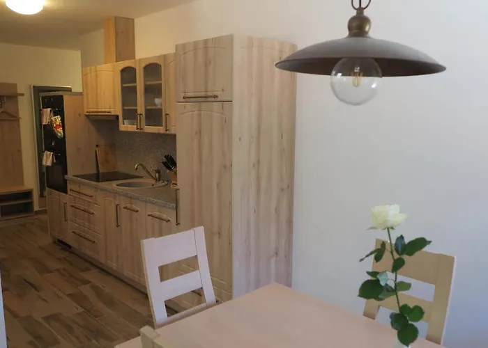 Apartament Club Rezidence Pod Luci Loučovice