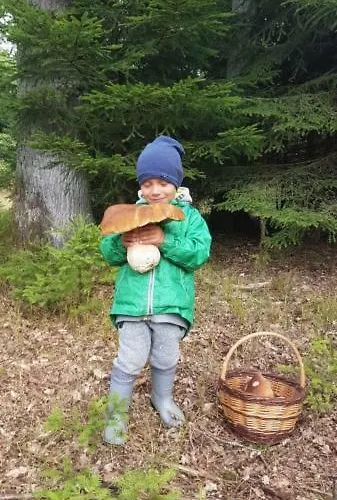 Apartament Club Rezidence Pod Luci Loučovice